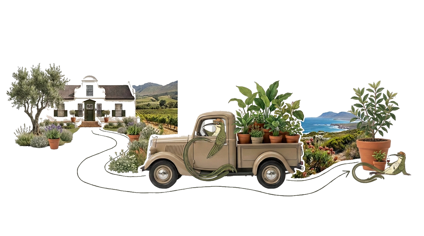 Editorial botanical collage — Paarl farmhouse, Groen delivery vehicle, protea, olive tree, lavender and West Coast route